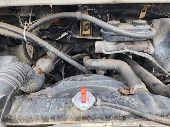 The shiniest penny in the pond