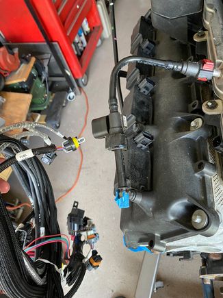 Starting to wonder if the harness is even for this motor. 