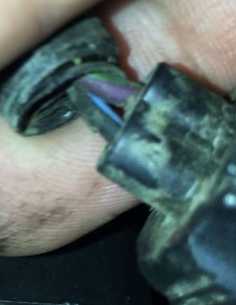 This is the wires coming from the harness. One is Blk/Blu stripe the other wire is black with green / red stripe.
