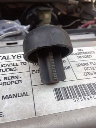 Here is the mushroom piece I pulled (along with a section of the hose it was attached to).  You can see the ribs where it goes into the hose.