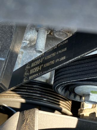 Belt #