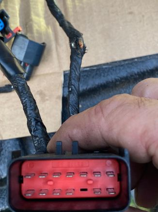 main male 13/14 pin connector