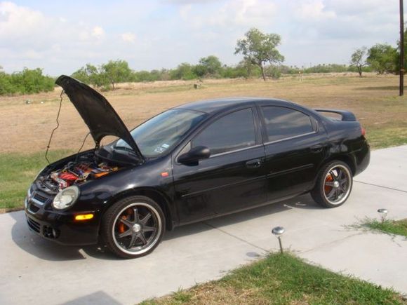 04 Dodge Neon profile view.