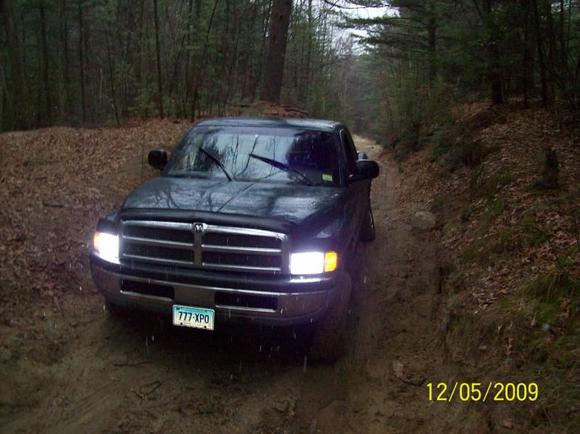 playen in the woods