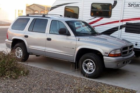 Big D 1 day after purchase