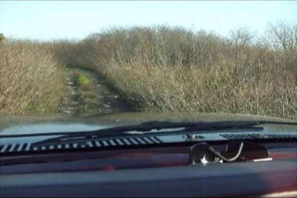 May trip out (5)