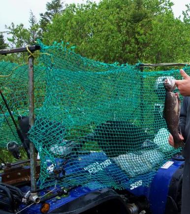 another guy caught this one, great idea for the bike. kept the alders from peeling all the skin off his face.