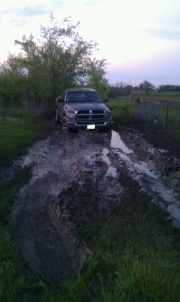Accidental mudding at my buddys property!