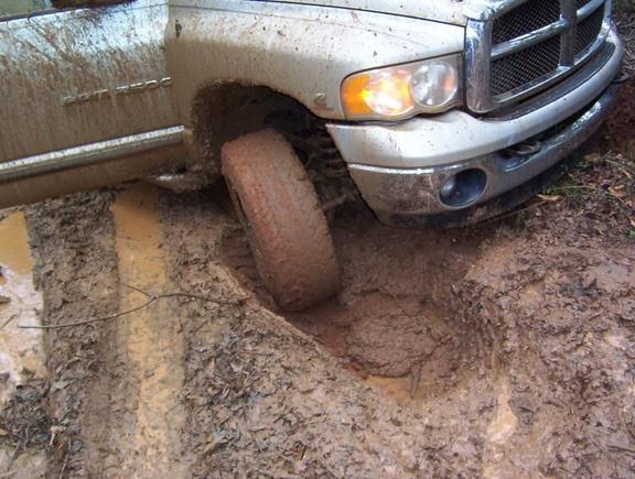 In a little rut.
Before Road Armor bumper install, All stock except for 33 inch Pro-Comp tires on stock wheels.