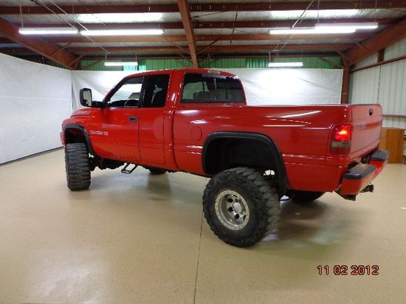 Showing off her tail!