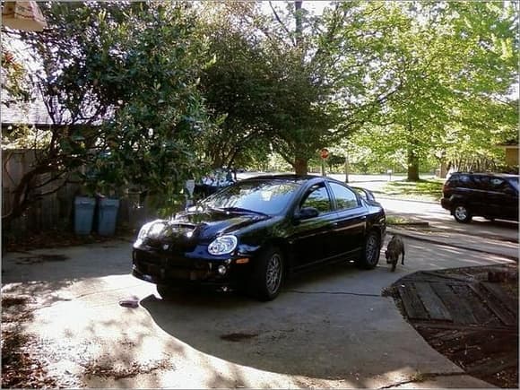 My beloved SRT-4, Shruikan(name is from Eragon- Shruikan was the king's black dragon). Involuntarily laid to rest December 13th, 2007. I literally still CRY over this car.