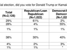 Ipsos Poll, January 2025