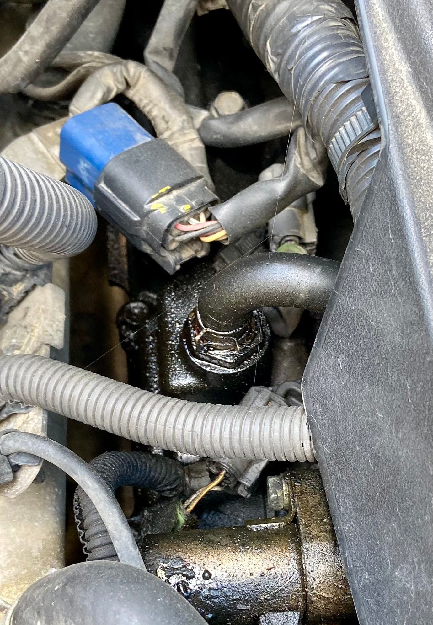 Problem ID / Oil leak source G35Driver Infiniti G35 & G37 Forum