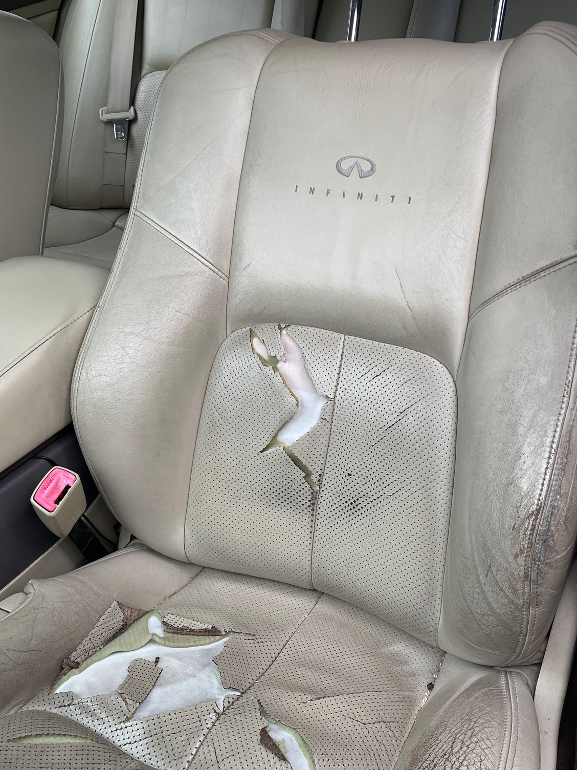 Original Front seat back 