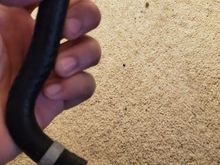 booster to engine vacuum hose