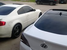 #tinted