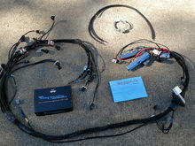 WS harness and grounding kit