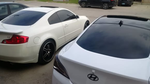 #tinted