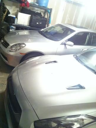 Stablemates