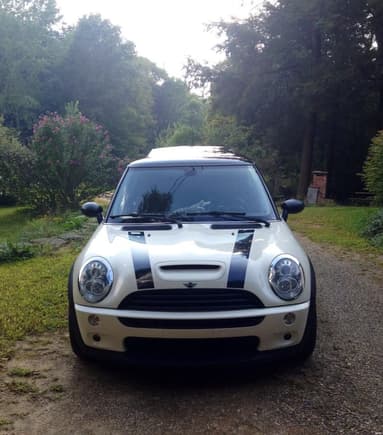 mini all blacked