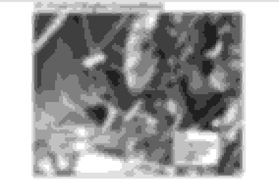 2002 CRV Radiator Fan Not Turning On HondaTech Honda Forum Discussion