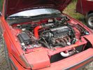 lude