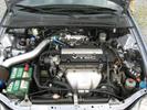 the lude