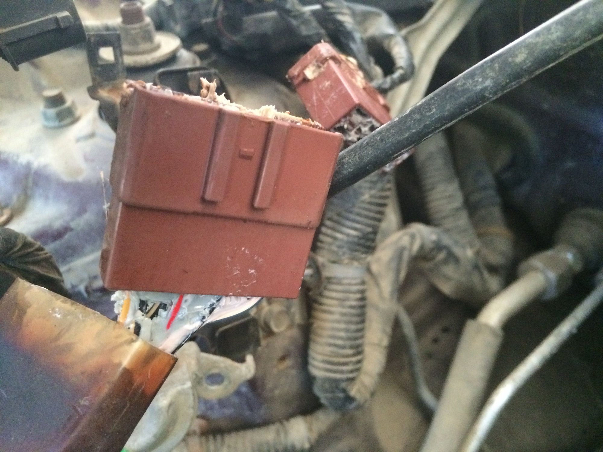 1992 Honda Accord temperature gauge wire issue HondaTech Honda