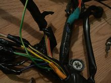 Green with yellow strip 