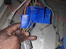 C101 civic labled 
Labled pins : 8,3,4,6,5 and 2 
Confused on diff colors between decription in instructions and the actual color on harness 🤔