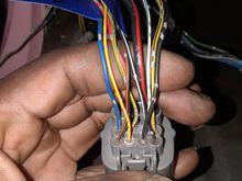 Civic c101 shock tower plug  no blk/ylw diagram calls for 4 2 on j32 harness 2 on civic harness... 