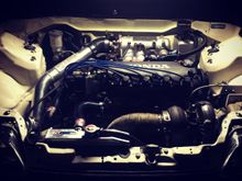 Motor is back in and running once again. Waiting to figure out what I am going to do about tuning.