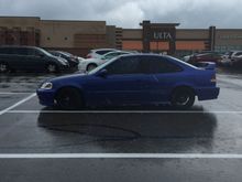 The day I picked her up