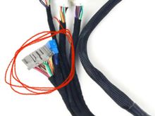 the plugs i am left over with after hooking everything to the ecu 