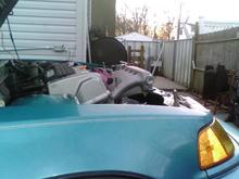 my pics 493