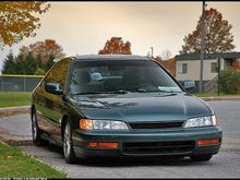 2997607013 71ff75f0a1