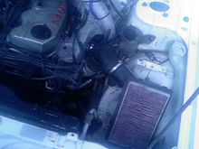 Photo 0465