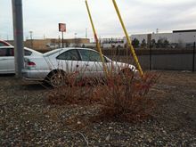 Garage - v-tec dawg