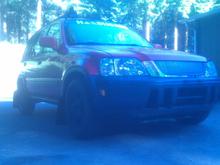 Sittin pretty...