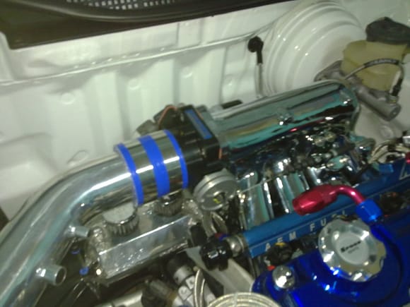 The Skunk2 throttle body and our tucked custom oil catch can.
