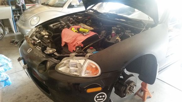Doing the timing belt and other maintenance.