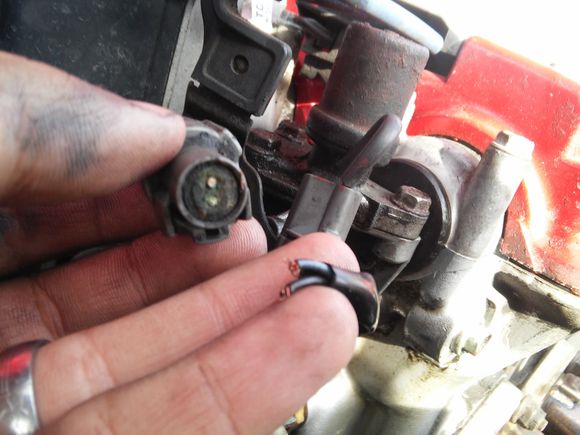 Well I think I figured my problem out. Any idea if they make a new plug to splice these wires into?