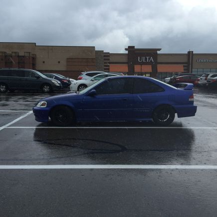 The day I picked her up