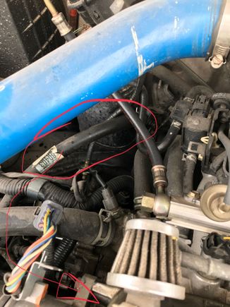 It’s this hose