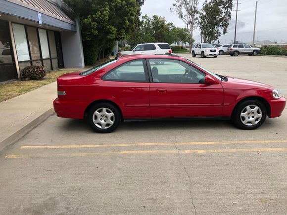 So this is the whip the day after I bought it 