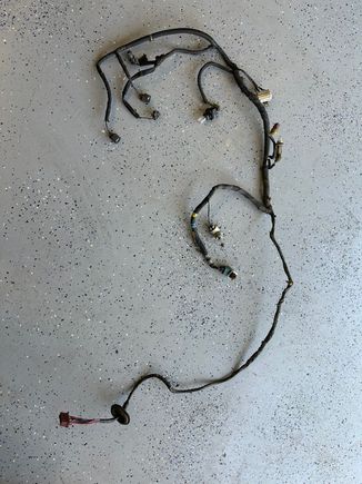 97 accord right engine compartment wiring harness from junkyard