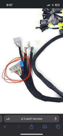 the plugs i am left over with after hooking everything to the ecu 