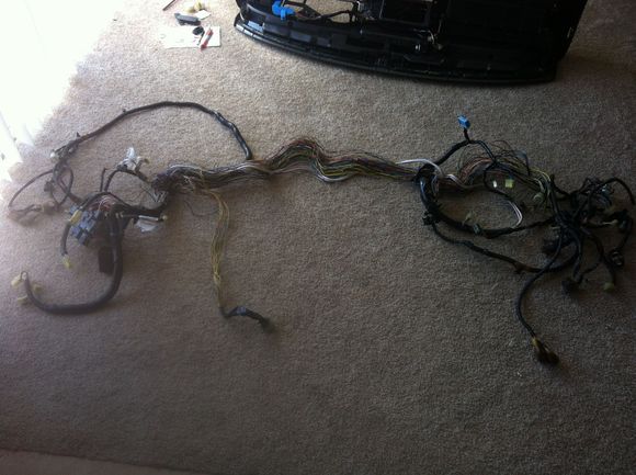 Main harness. Everything not used will be de-pinned.