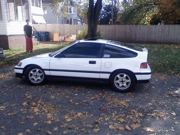 mint