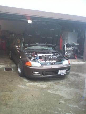 Picture 006